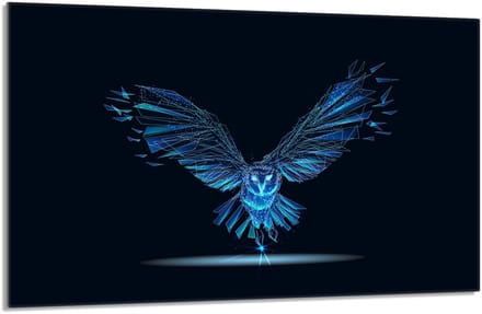 TMK ArtDeko - Beschermende Glazen Plaat - 80x52 cm - Vogel - Hittebestendig