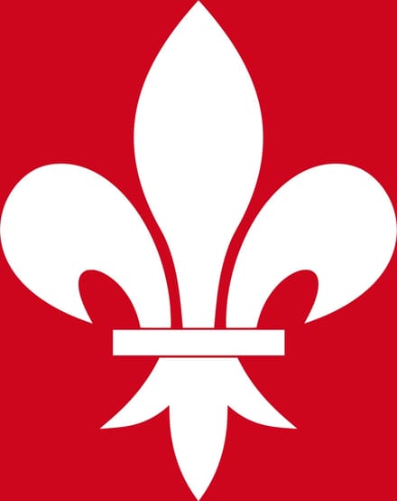 Vlag Houffalize 200x300cm