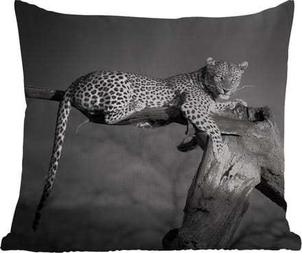 Tuinkussen - Panter - Boom - Dieren - Zwart - Wit - 40x40 cm - Weerbestendig