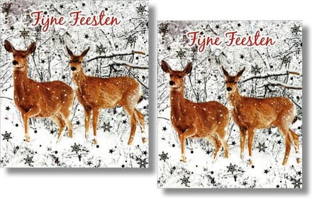 16 Dubbele kaarten - Fijne Feesten - Lannoo - Witte envelop - 12 x 13,3 cm