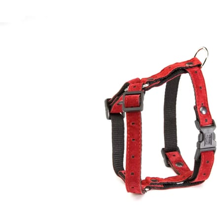 Tuig voor hond 5th avenue blauw 15 mmx30-45 cm