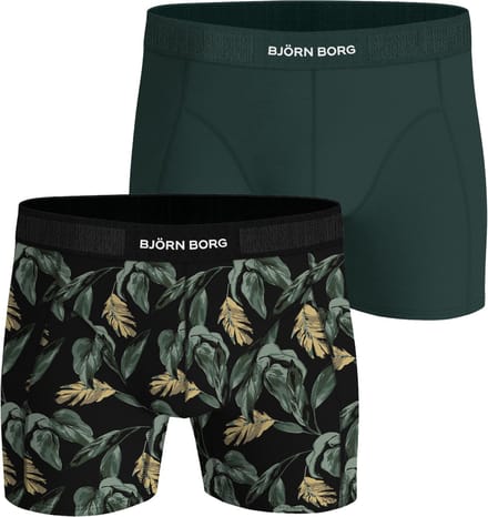 Björn Borg Cotton Stretch boxers - heren boxers normale lengte (2-pack) - groen - print
