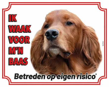 Ierse Setter Waakbord