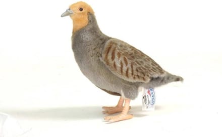Hansa pluche patrijs knuffel - vogel - 26 cm - dieren