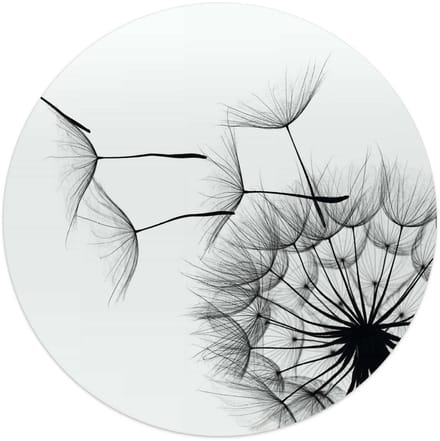 Glasschilderij Paardenbloem - Ø 50 - Glas - REINDERS