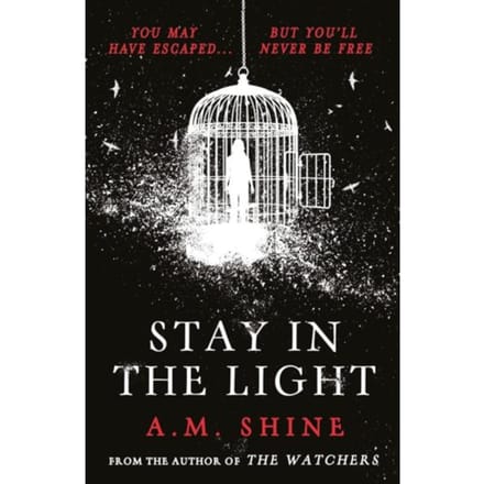 Stay In The Light - A.M. Shine