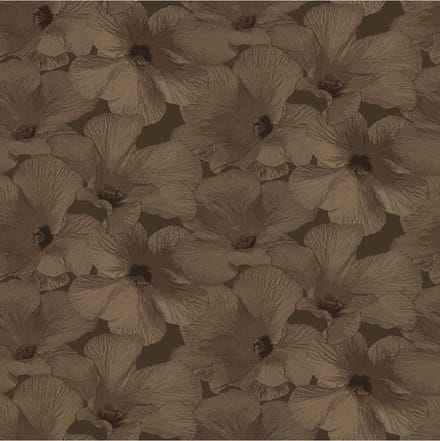 Annuell Hibiscus koper 11006