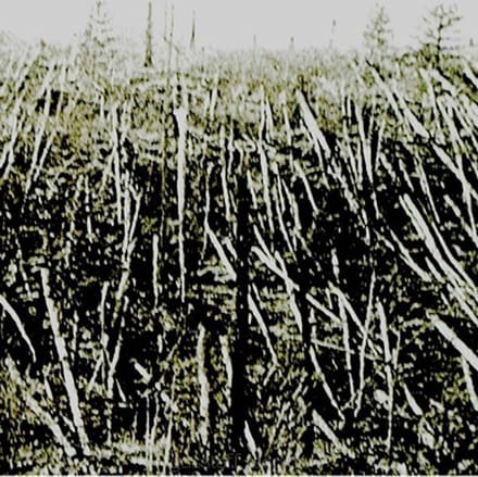 Próchno - Próchno (CD)