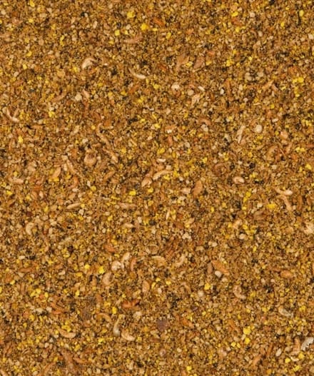 Orlux Gold patee inlands vogel 5 kilo - Vogelvoer - Eivoer voor vogels - Patee - Nutribird