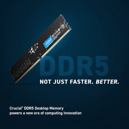 Crucial - DDR5 - module - 32 GB - DIMM 288-pin - 5600 MHz / PC5-44800 - unbuffered