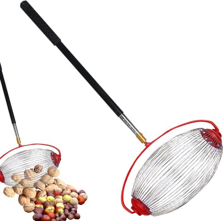 Notenverzamelaar - Fruitplukker - Efficiënt Oogsten - Roestvrijstaal - 150 cm - Zilver