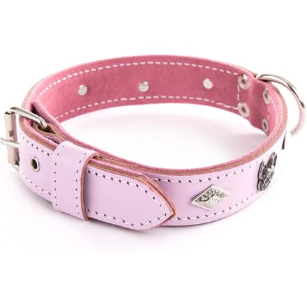 Hondenhalsband Martin Sellier BDG