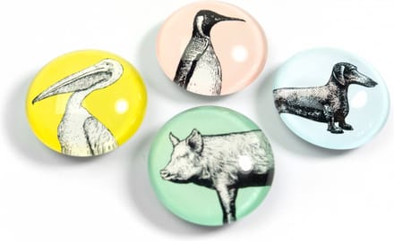 Magnet Eye - Animal - set of 4 assorted