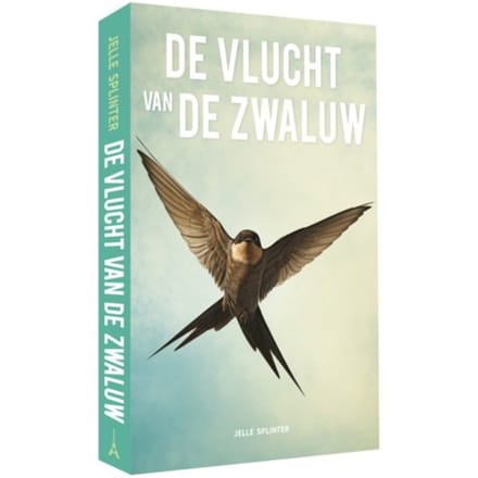 De Vlucht Van De Zwaluw - Jelle Splinter