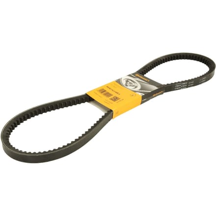 Continental Ctam V-riem CONTINENTAL AVX17X1195