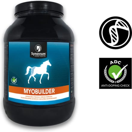 Synovium Myobuilder - 1,6 KG