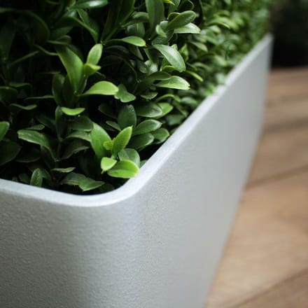 Buxus deluxe kunstheg 80x20x27cm - UV bestendig
