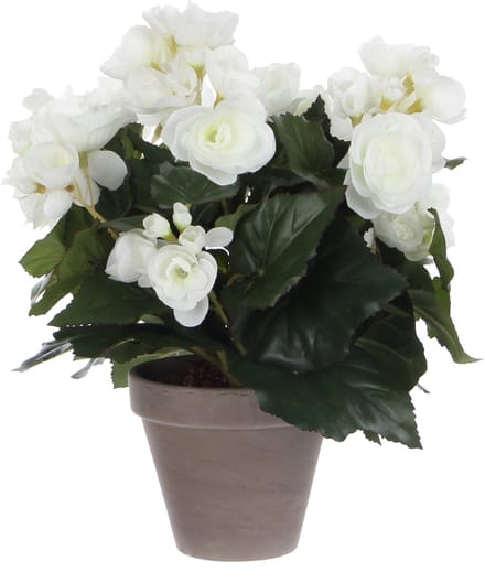 Kunstplant mica begonia wit in pot stan grijs | 6 stuks