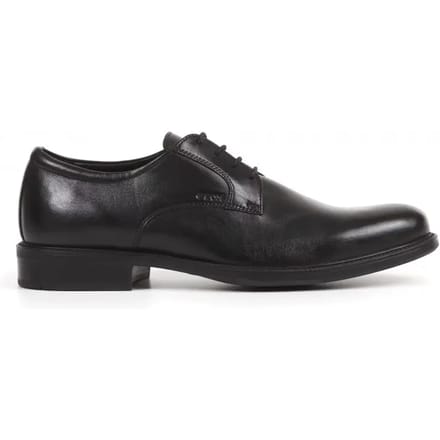 Derbie Geox Carnaby Smooth Leather