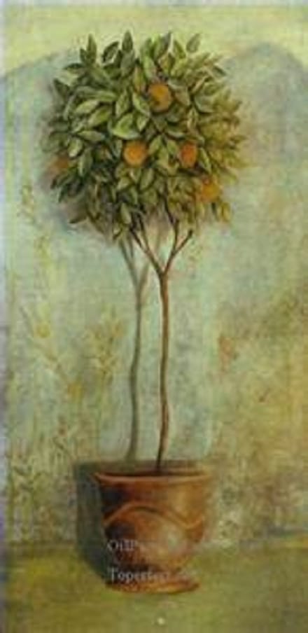 poster Eurographics Fabrice Villeneuve - Orange Tree 40 x 100