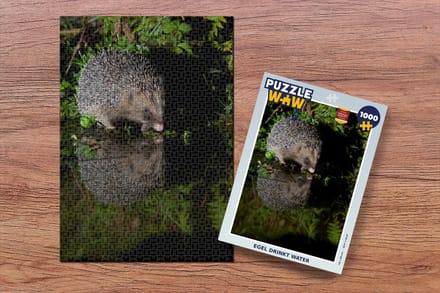 Puzzel Egel drinkt water - Legpuzzel - Puzzel 1000 stukjes volwassenen