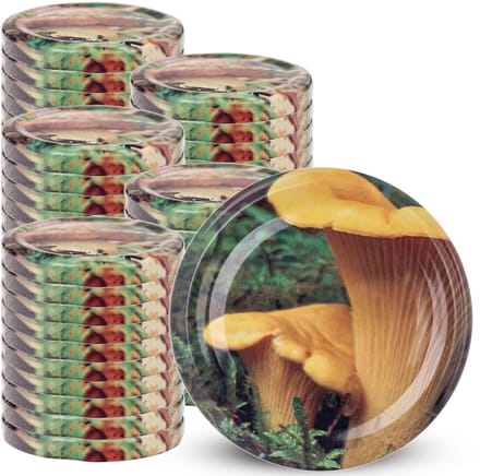 KADAX Potdeksels Deksels Fi66 Schroefdop Potmoeren 4-Clip 50st