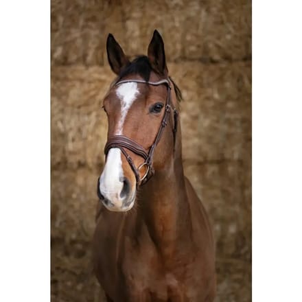 Hoofdstellen Norton Pro Miss