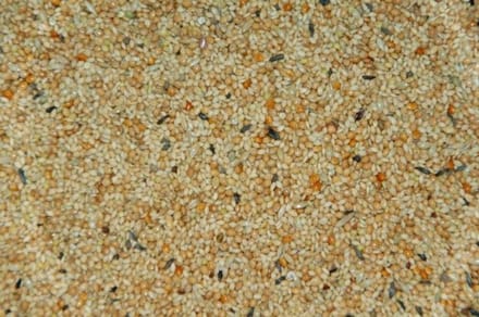 Wielink Tropenzaad 20 kg
