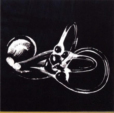 Skeleton Key - Obtainium (CD)