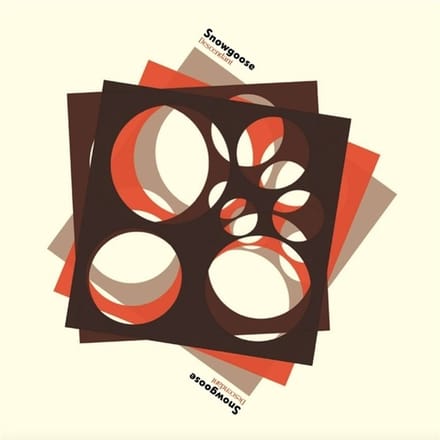 Snowgoose - Descendant (LP)