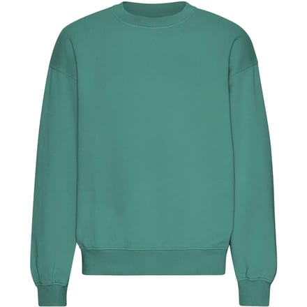 Oversized sweatshirt met ronde hals Colorful Standard Organic Pine Green