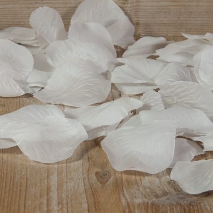 Witte rozenblaadjes