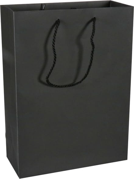 Tas | Papier | met koord | 27x 12x37cm | draagtas | zwart/wit | 100 stuks