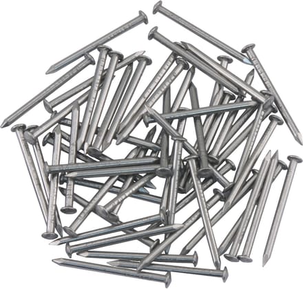 Ellen Tochtstripnagel RVS 25 x 1.6 (55)