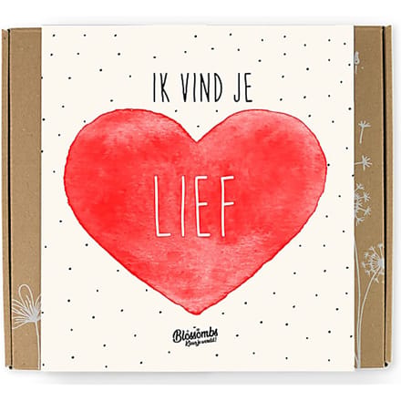 Blossombs Bloembommetjes Giftbox Medium - 9 Zaadbommetjes - Ik Vind Je Lief