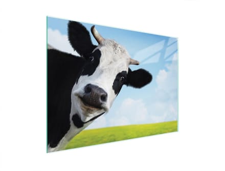TMK ArtDeko Serie - Glazen Snijplank - 40x30 cm - UV-print - Antislip
