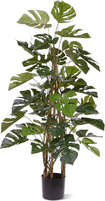 Monstera kunstplant Deluxe klimplant 120cm