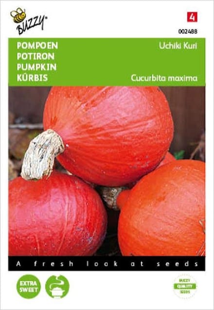 Buzzy Zaden - Pompoen Oranje Zon Cucurbita maxima