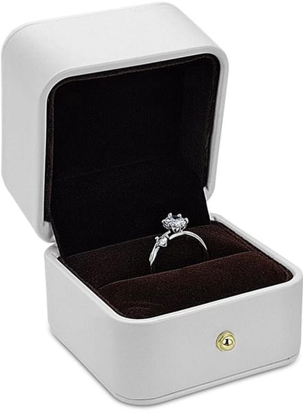Dailygoods- Ringenbox Elegant - PU Leer - Sieradendoos - Verlovingsring - Bruiloft