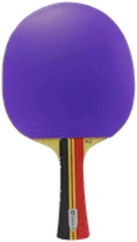 Tibhar Tafeltennisbatje Lilou Massart Allround – Ideaal voor beginners en competitieve starters