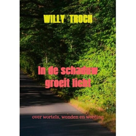 In De Schaduw Groeit Licht - Willy Troch