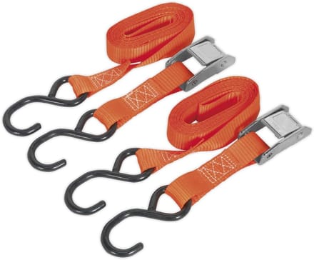 Cam Buckle Spanband 25mm x 2.5m met S-haak - 250kg Capaciteit