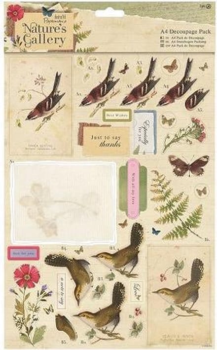 Docrafts: Nature's Gallery A4 Decoupage Pack - Collage (PMA 169121)
