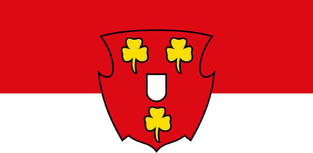 Vlag Kleef 100x150cm