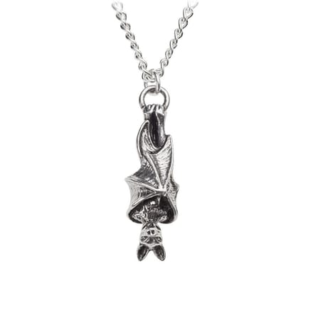 Alchemy - AWAITING THE EVENTIDE Ketting - Zilverkleurig