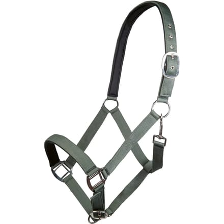 Nylon halster voor paard met zachte voering HKM Charming