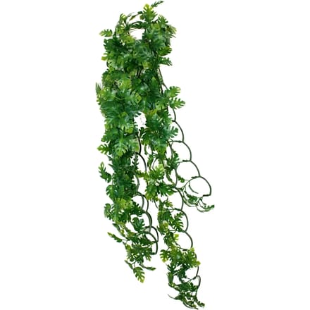Reptielen schuilplaats Komodo Split Philodendron Plant