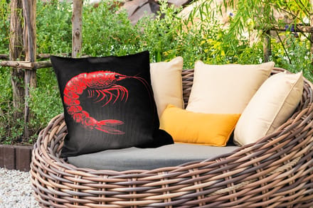 Sierkussen Buiten - Garnaal - Rood - Dieren - 60x60 cm - Weerbestendig