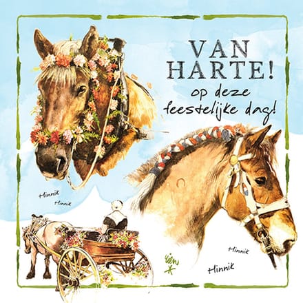 Comello - Wenskaart Rien Poortvliet - Van Harte - 10 x 10 cm - Blanco Binnenkant - Inclusief Envelop