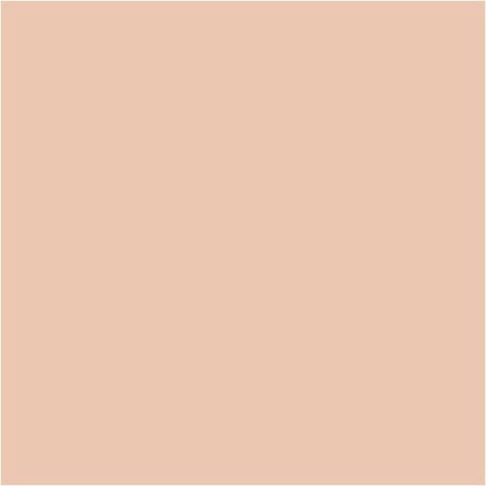 BIC Visa Color Kleurstiften, lijndikte 3 mm, licht beige, 12 stuk/ 1 doos